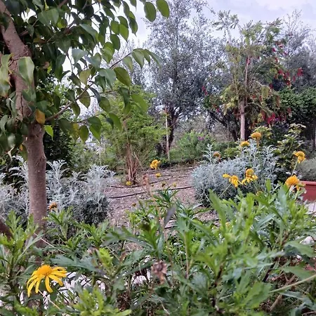 Route 66 Arizona 7 * Réthymnon