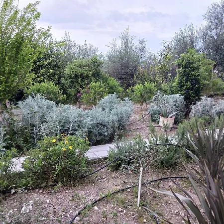 Route 66 Arizona 7 *