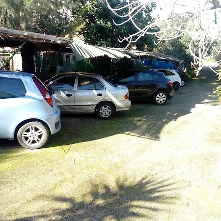 Route 66 Arizona 7 *